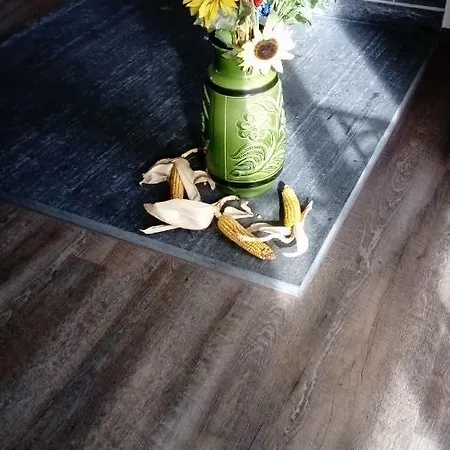 Reiterhof & Lienemann