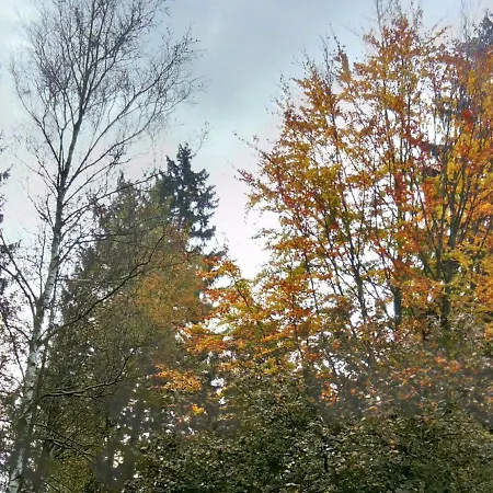 Reiterhof & Lienemann