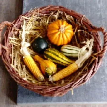 Reiterhof & Lienemann 3*