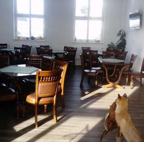 Reiterhof & Lienemann Casa de hóspedes